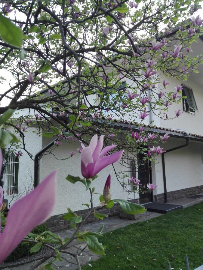 Apartament Torilan Terlan Zewnętrze zdjęcie