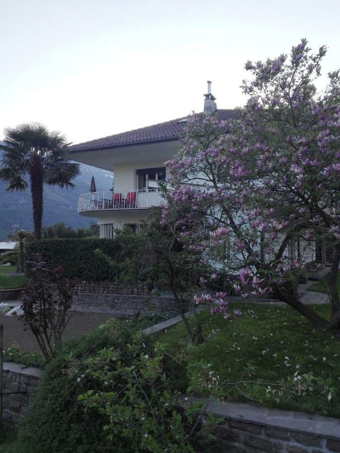 Apartament Torilan Terlan Zewnętrze zdjęcie